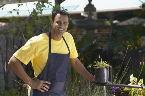 Variety of plants suitable for Sidcup landscape gardening