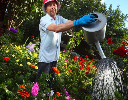 Sustainable garden features in a Sidcup outdoor space