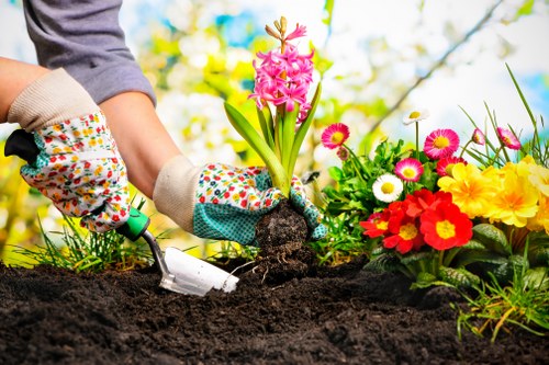 Professional landscape gardener working on a Sidcup garden design